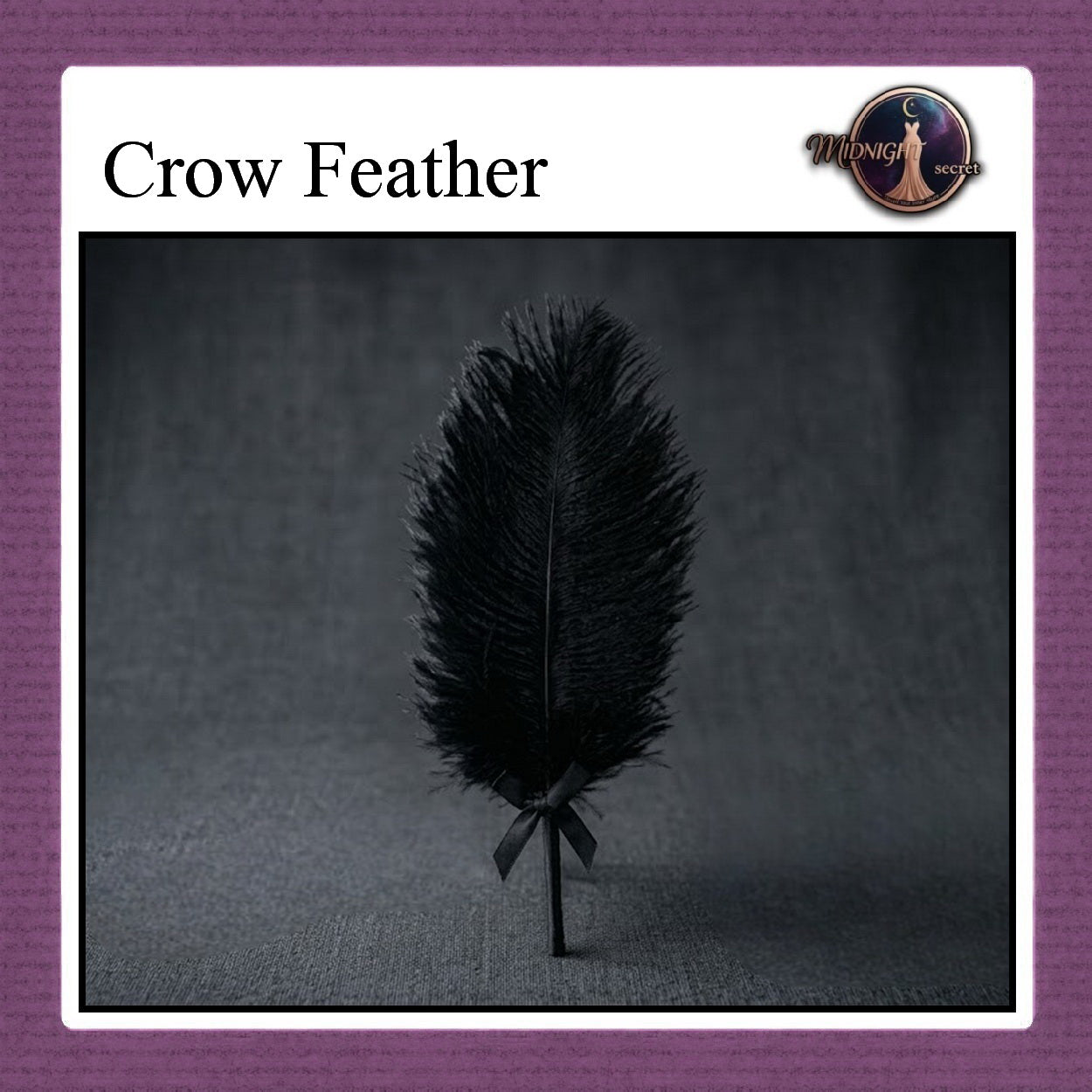 Midnight Tickler Stick - Black Crow Feather - Aksesoris BDSM
