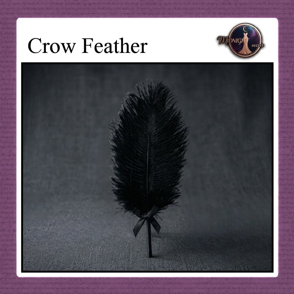 Pekalongan Midnight Tickler Stick - Black Crow Feather - Aksesoris BDSM