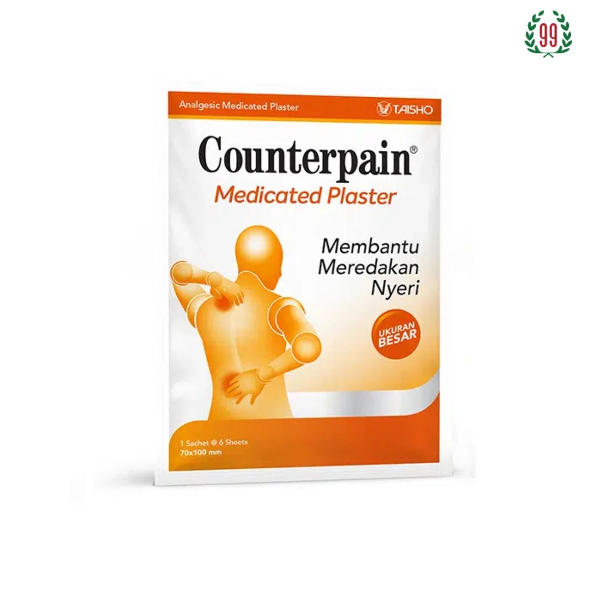 Pekanbaru Counterpain Medicated Plaster 6'S