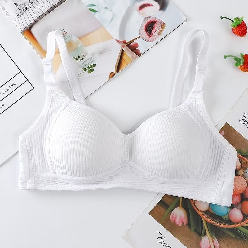 Pekanbaru Brasay Bra Push Up Tanpa Kawat Style Pakaian Dalam Wanita