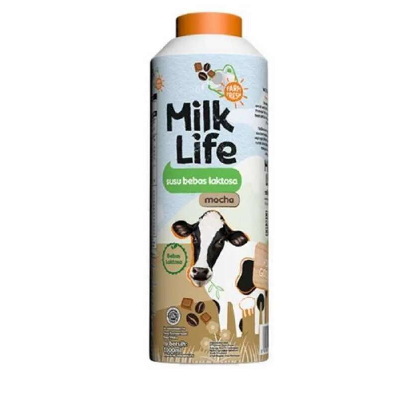 Pekanbaru Milk Life Esl Moca 1000Ml