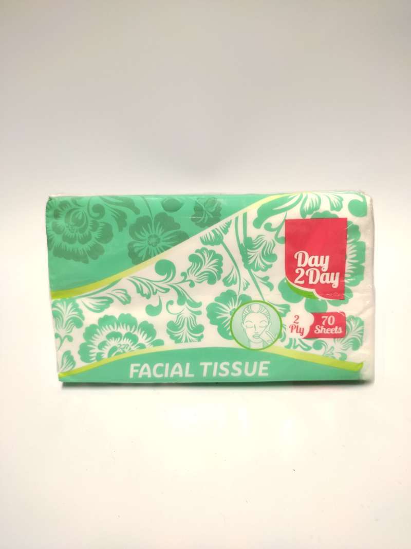 Pekanbaru Day 2 Day Facial Tissue 70'S Hkm