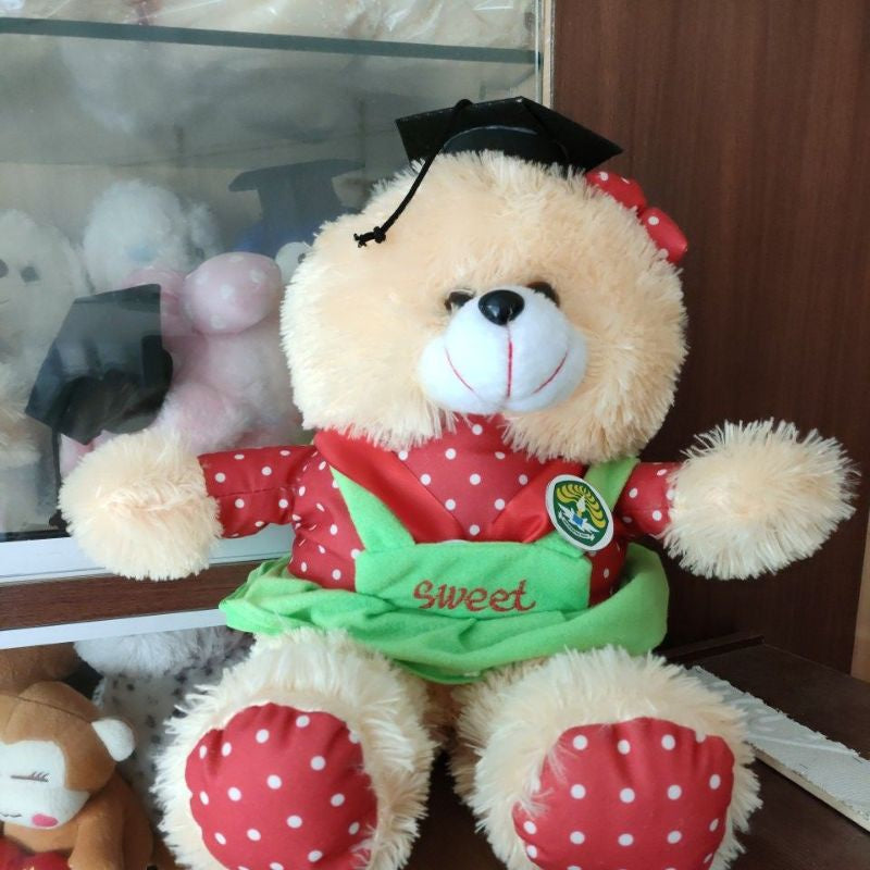 Pekanbaru (Promo!!) Boneka Wisuda Murah /Boneka Wisuda/Boneka Lucu