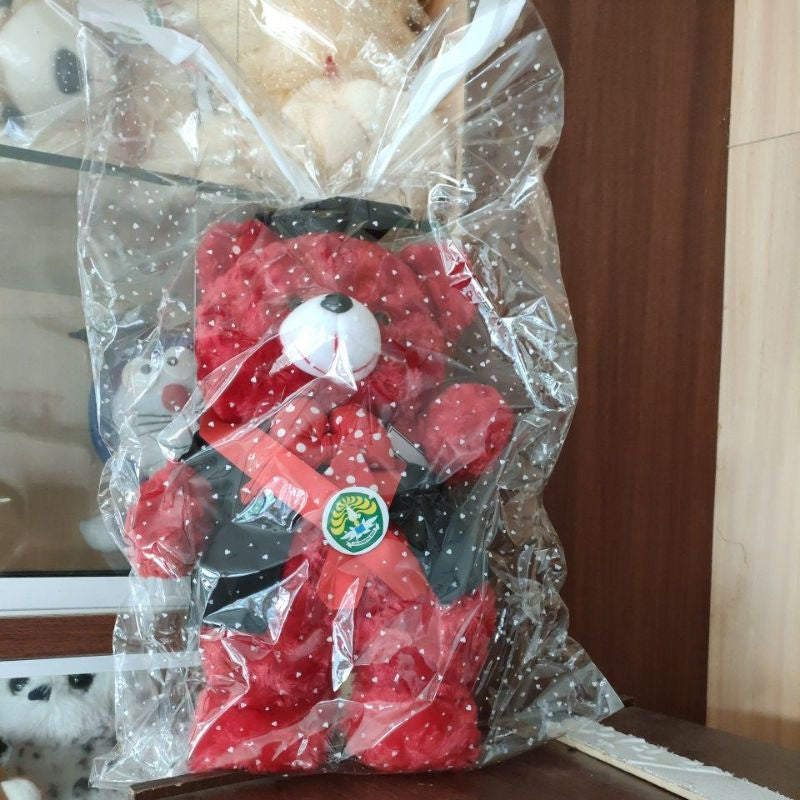 Pekanbaru (Promo!!) Boneka Wisuda Murah /Boneka Wisuda/Boneka Lucu