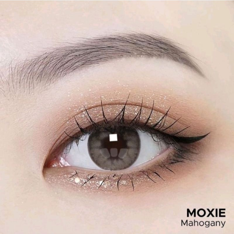 Pekanbaru Softlens X2 Moxie Normal Minus 14.5 By Exoticon