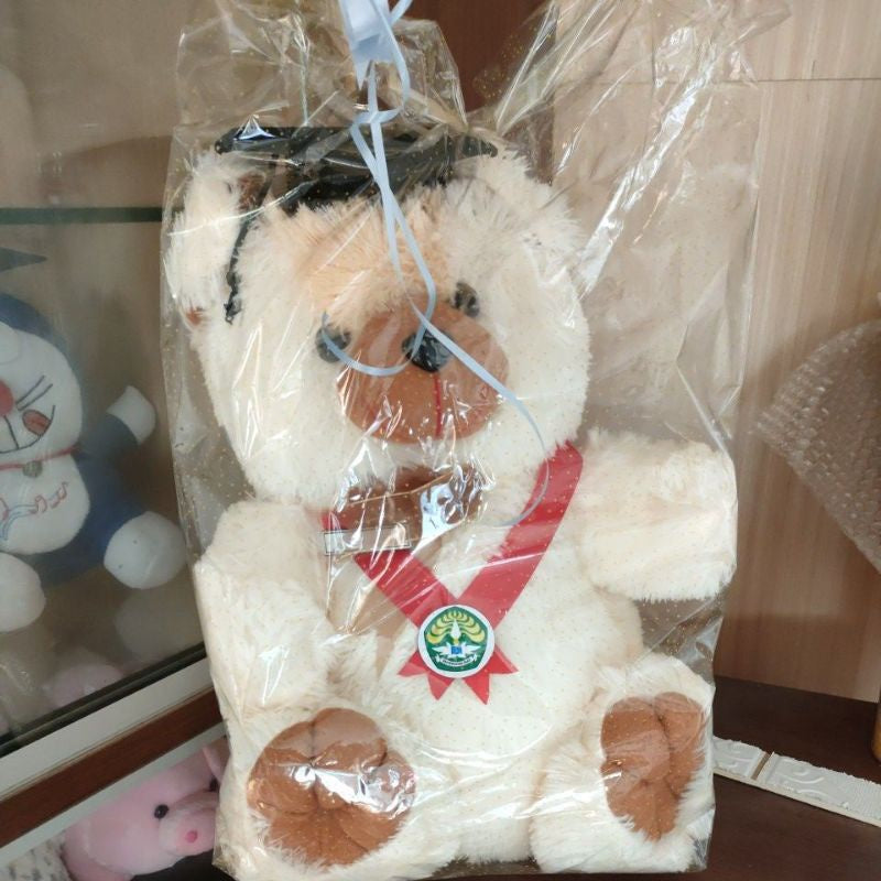 Pekanbaru (Promo!!) Boneka Wisuda Murah /Boneka Wisuda/Boneka Lucu