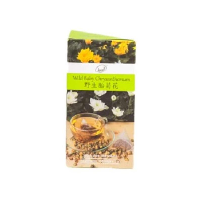 Pekanbaru Ansell Wild Baby Chrysantemum Prmd 12S