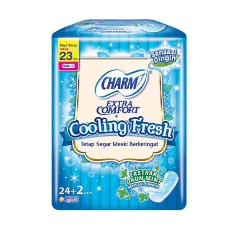 Pekanbaru Charm cooling fresh non wing 23cm 24p