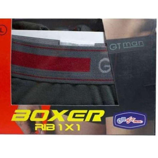 Pekanbaru Gt Man Celana Dlm Boxer Gter 02 L