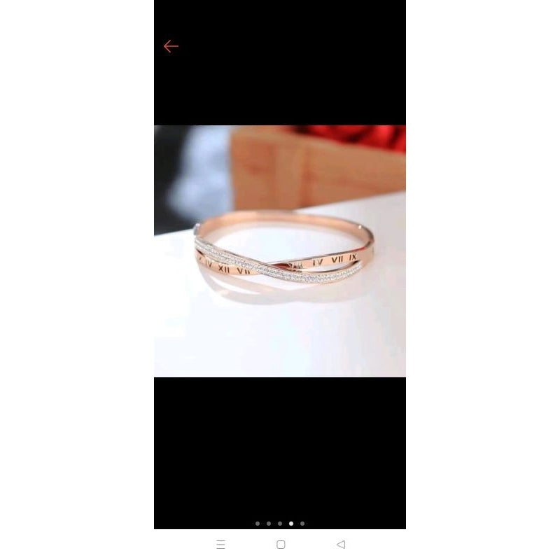 Pekanbaru Gelang Bracelets Fashion Swan Cuff Bracelet With Zircon Women Animal Bird