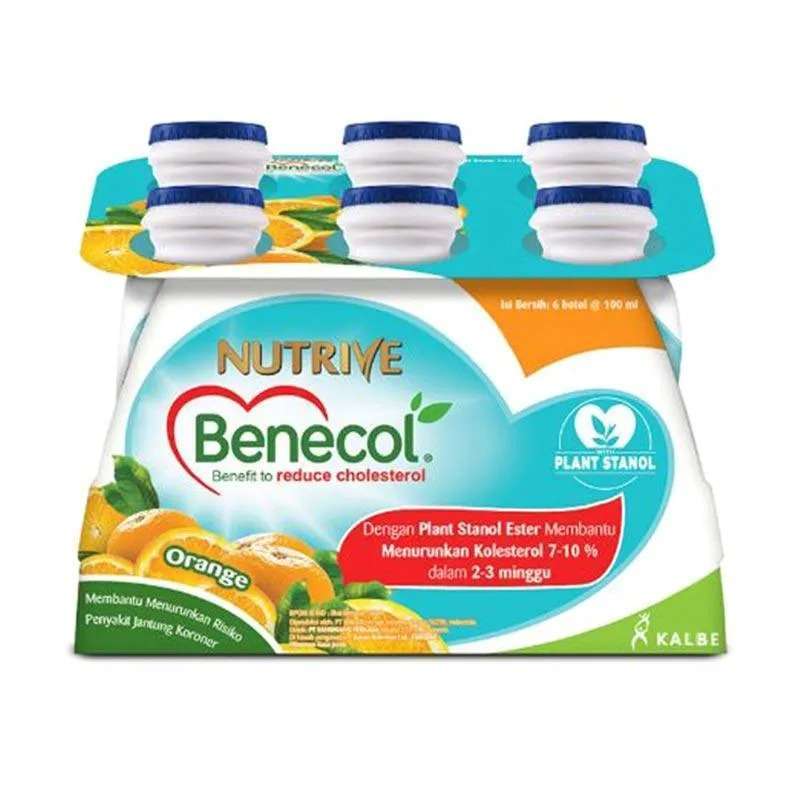 Pekanbaru Nutrive Benecol Orange 6X100Ml