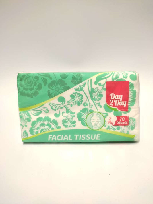 Pekanbaru Day 2 Day Facial Tissue 70'S Hkm