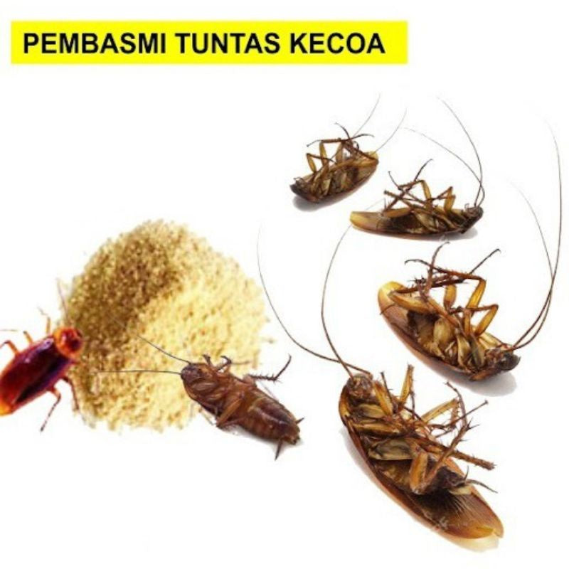 Pekanbaru Racun Kecoa Bubuk Anti Cockroach Killing Bait Powder Serbuk Obat Pembasmi Koloni