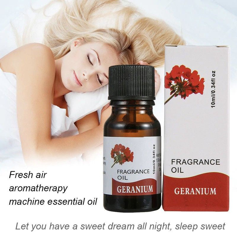 Pekanbaru Essential Oil Diffuser 10 Ml Aromatherapy Aromaterapi Diffuser Humidifier Pengharum