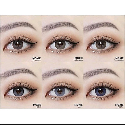 Pekanbaru Softlens X2 Moxie Normal Minus 14.5 By Exoticon